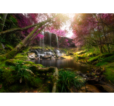 Fotomurale foresta cascate nella natura selvaggia - TenStickers