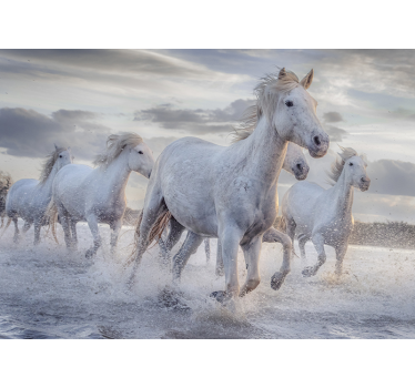 Fotomurale animali cavalli bianchi in corsa - TenStickers