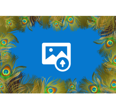 Fotomurali textures contorno di piume di pavone - TenStickers