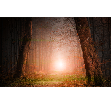 Fotomurale foresta enigmatico cammino nel bosco - TenStickers