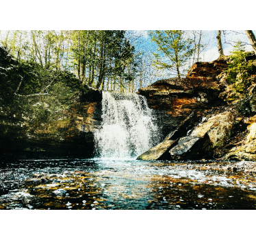 Fotomurali cascate tranquilla scena di cascata - TenStickers