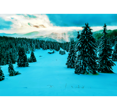 Fotomurale paesaggi foresta di pini innevati - TenStickers