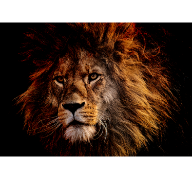 Fotomurali leone presenza maestosa del leone - TenStickers