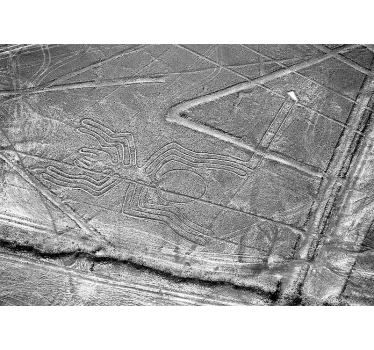 Fotomurale animali geoglifo del ragno di nazca - TenStickers