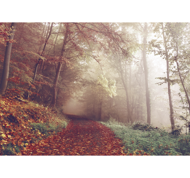 Fotomurale foresta paesaggio sentiero autunnale - TenStickers