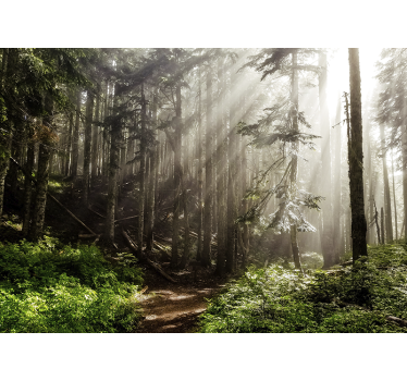 Fotomurali natura prospettiva foresta nebbiosa - TenStickers