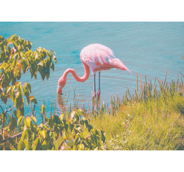 Fotomurale animali serenità fenicottero rosa - TenStickers