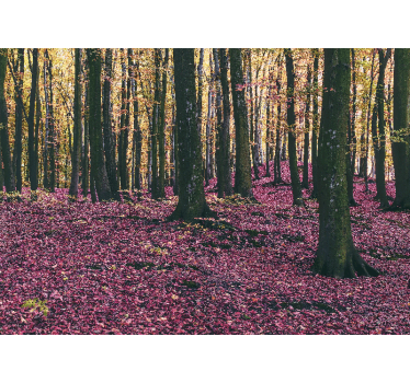 Fotomurali natura scena di foresta serena - TenStickers
