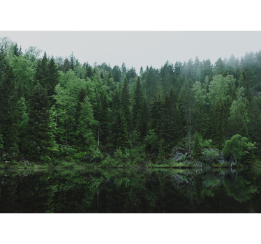 Fotomurali natura riflesso di una foresta tranquilla - TenStickers