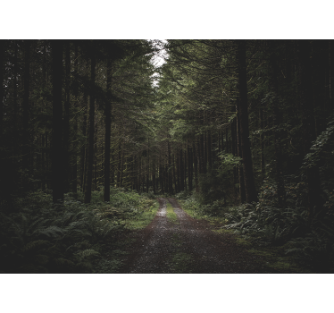 Fotomurali natura sentiero boscoso verdeggiante - TenStickers