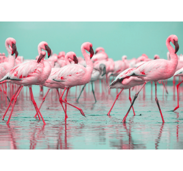Fotomurale animali passeggiata di fenicotteri - TenStickers