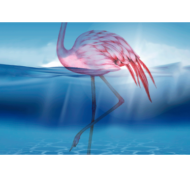 Fotomurale animali posizione elegante del fenicottero - TenStickers
