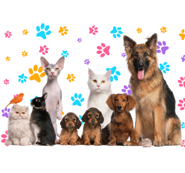 Fotomurale animali compagni felici di casa - TenStickers
