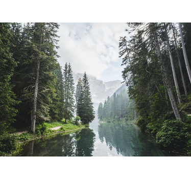 Fotomurale paesaggi eco di una foresta tranquilla - TenStickers
