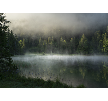 Fotomurali natura lago nebbioso e sereno - TenStickers