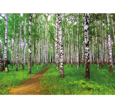 Fotomurali natura sentiero nella foresta di betulle - TenStickers