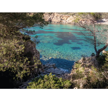 Fotomurali natura scena costiera chiara - TenStickers
