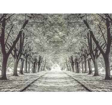 Fotomurali natura sentiero sereno tra gli alberi - TenStickers