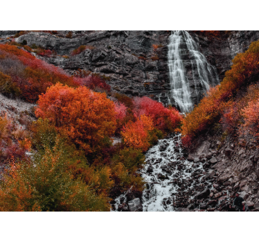 Fotomurali cascate scena autunnale con cascata - TenStickers