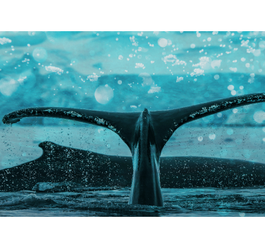 Fotomurale animali spruzzo di pinna di balena - TenStickers