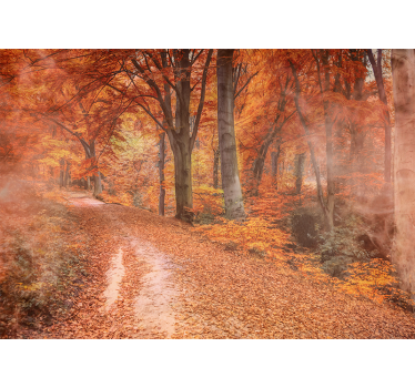 Fotomurali natura sentiero d'autunno - TenStickers