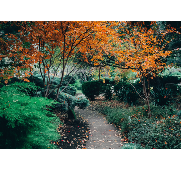 Fotomurali natura sentiero tra gli alberi - TenStickers