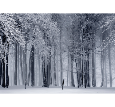 Fotomurale foresta paesaggio di alberi innevati - TenStickers