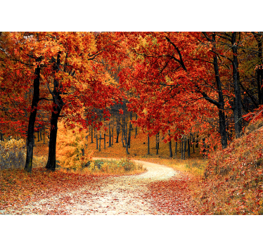 Fotomurali natura sentiero boschivo d'autunno - TenStickers