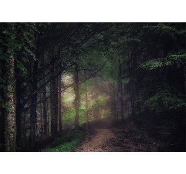 Fotomurale foresta sentiero della foresta serene - TenStickers