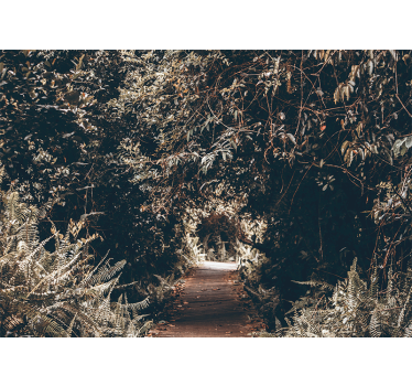 Fotomurali natura sentiero nel bosco - TenStickers