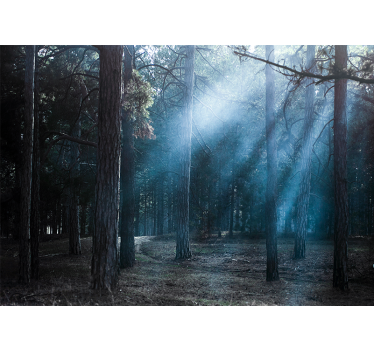 Fotomurale foresta sentiero nebbioso e nebbioso - TenStickers
