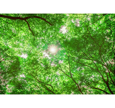 Fotomurali natura vista dalla canopia - TenStickers