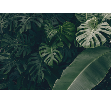 Fotomurali natura verde tropicale vivace - TenStickers