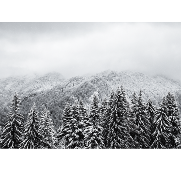 Fotomurali natura paesaggio boschivo invernale - TenStickers