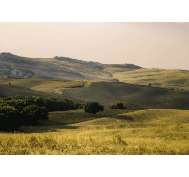 Fotomurale paesaggi colline ondulate - TenStickers