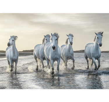 Fotomurale con differenti animali cavalli bianchi e marroni che c - TenStickers