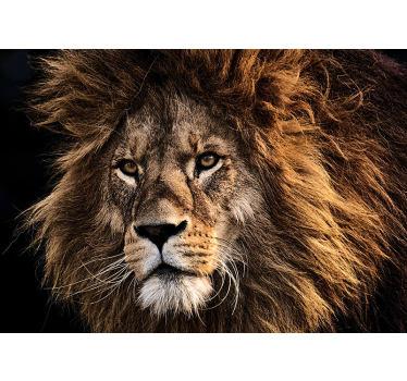 Fotomurali leone opera d'arte leone maestoso - TenStickers