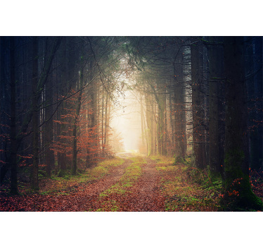 Foto murali con bosco strada autunnale - TenStickers