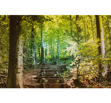 Foto murali con bosco percorso con scale - TenStickers