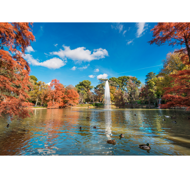 Fotomurale lago scena del lago autunnale - TenStickers