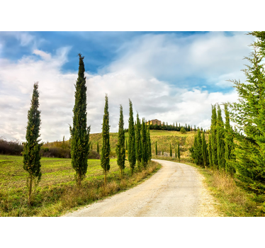 Fotomurali natura vista della campagna toscana - TenStickers