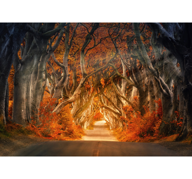 Fotomurale foresta porta incantata - TenStickers