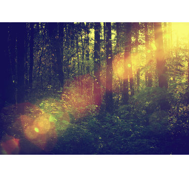 Fotomurali natura profondità della foresta illuminata - TenStickers