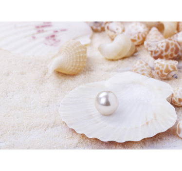 Fotomurali natura con conchiglie e perle - TenStickers
