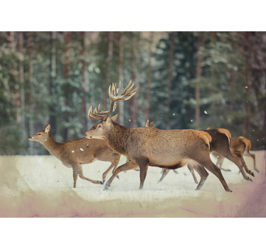 Fotomurale animali maestosa mandria di cervi - TenStickers