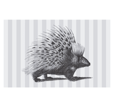 Fotomurale animali design a punte di istrice - TenStickers