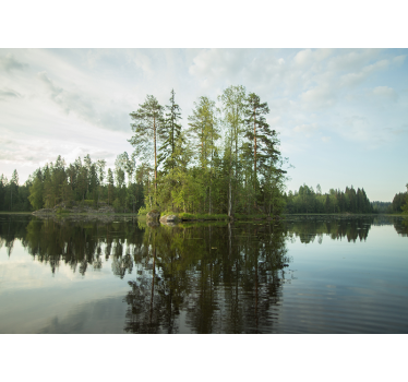 Fotomurale paesaggi riflesso di una foresta serena - TenStickers