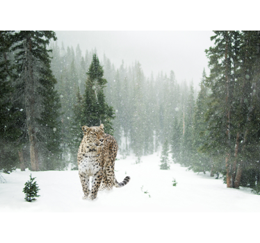 Fotomurale animali passeggiata del leopardo delle nevi - TenStickers