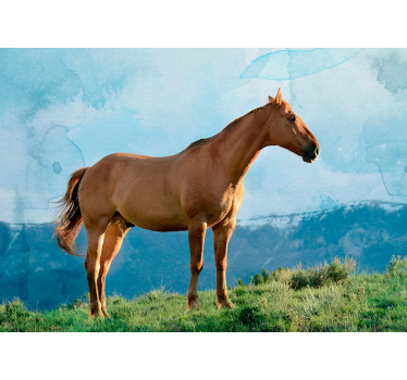 Fotomurale animali maestosa presenza del cavallo - TenStickers