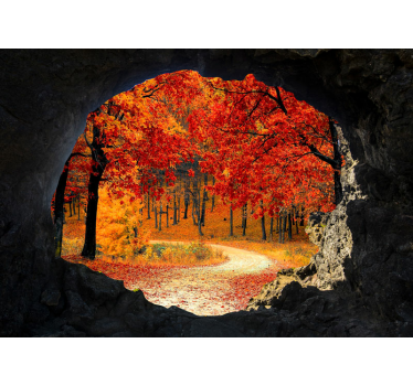 Fotomurale foresta prospettiva sentiero autunnale - TenStickers